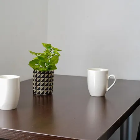 Sun Plaza Oasis With Self Check In And Fast Wifi * Bucureşti